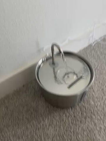 i've never had a cat drink so much water