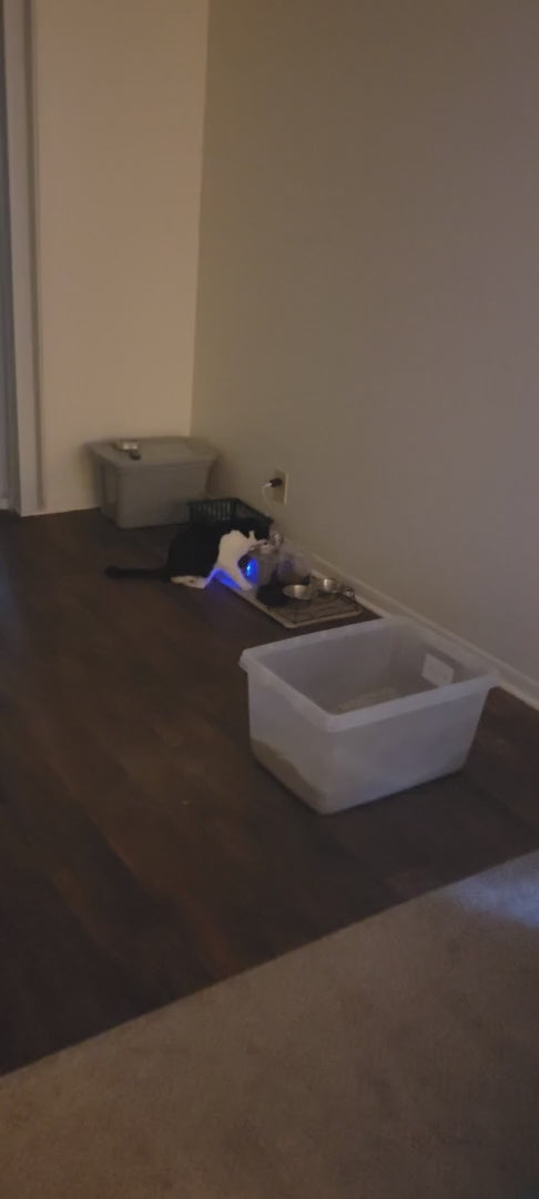 he is probably going to pee a lot
